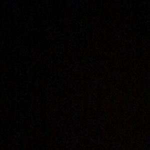 Meet your Posher, Suzi